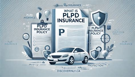What Is Plpd Insurance What Is Plpd Insurance