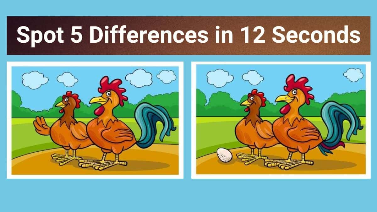 What Is The Difference Between Deductible And Out Of Pocket Max What Is The Difference Between Deductible And Out Of Pocket Max