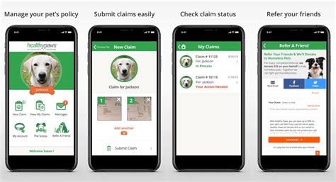 What S The Best Pet Insurance Company For 2020 Caninejournal Com What S The Best Pet Insurance Company For 2020 Caninejournal Com