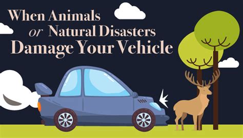 When Animals Or Natural Disasters Damage Your Vehicle Quote Com When Animals Or Natural Disasters Damage Your Vehicle Quote Com