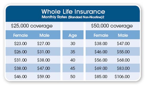 Whole Life Insurance Policy Quotes