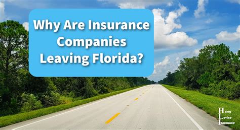Why Are Insurance Companies Leaving Florida Harry Levine Insurance Why Are Insurance Companies Leaving Florida Harry Levine Insurance