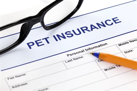 Why Are Pet Health Insurance Plans Suddenly So Popular Pet Questions Why Are Pet Health Insurance Plans Suddenly So Popular Pet Questions