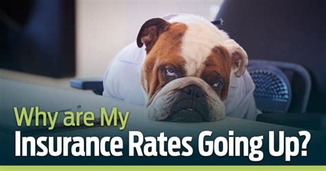 Why Does My Insurance Go Up