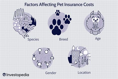 Why Is My Pet Insurance So High Leia Aqui What Makes Pet Insurance Why Is My Pet Insurance So High Leia Aqui What Makes Pet Insurance