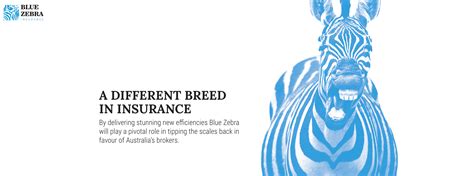 Zebra Insurance Phone Number Introducing Blue Zebra S Blue Leopard Zebra Insurance Phone Number Introducing Blue Zebra S Blue Leopard